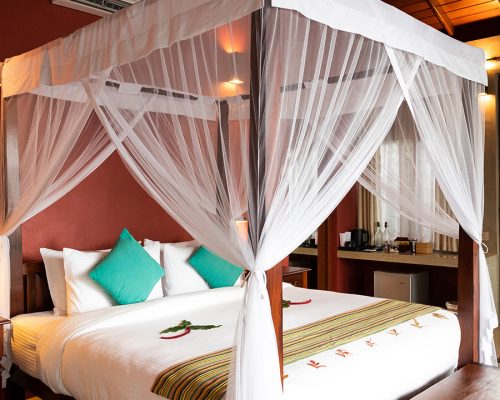 Aarunya-Soulsnapss-Septermber-2023-17_R-surrounding