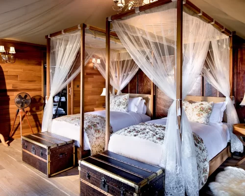 ONH-N-Family-Luxury-Tent-1-2023