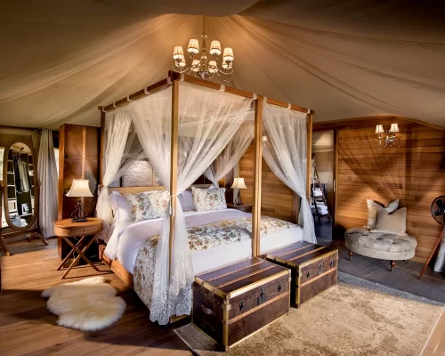 ONH-N-Family-Luxury-Tent-Main-2023