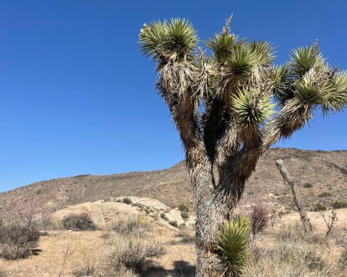 WhatsApp Image 2025-09-26 at 21.41.04 (1)