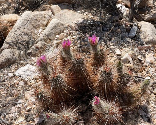 WhatsApp Image 2025-09-26 at 21.41.04 (2)