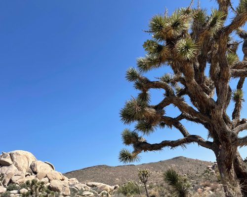 WhatsApp Image 2025-09-26 at 21.41.04 (3)