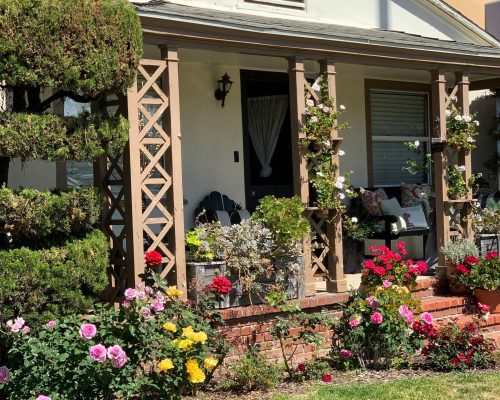 WhatsApp Image 2025-09-26 at 21.43.41 (2) (1)