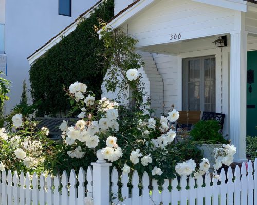 WhatsApp Image 2025-09-26 at 21.43.42 (2) (1)