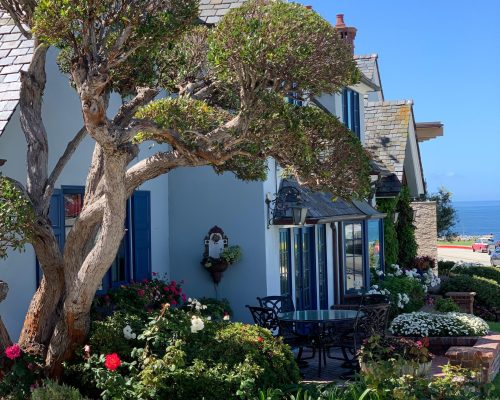 WhatsApp Image 2025-09-26 at 21.43.42 (4) (1)