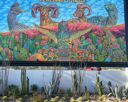 WhatsApp Image 2025-09-26 at 21.45.25 (2)