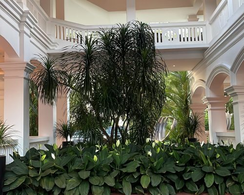 WhatsApp Image 2025-09-26 at 21.49.00 (2)