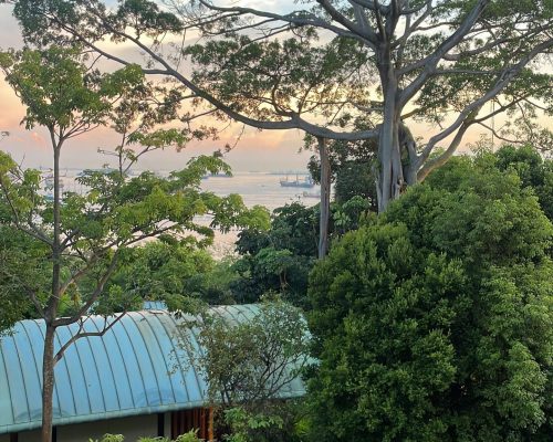 WhatsApp Image 2025-09-26 at 21.49.00