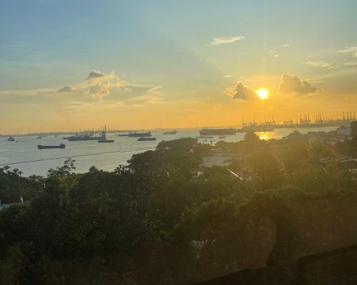 WhatsApp Image 2025-09-26 at 21.49.01