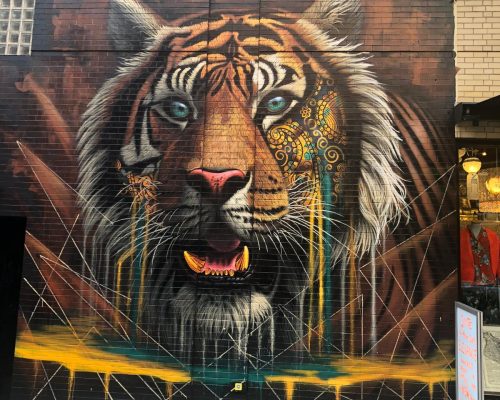 WhatsApp Image 2025-09-26 at 22.01.56 (4)