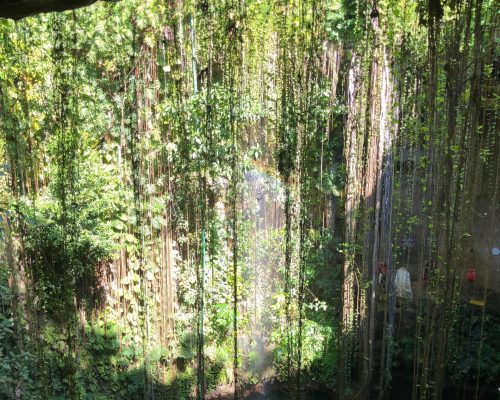 WhatsApp Image 2025-09-26 at 22.19.00 (1)