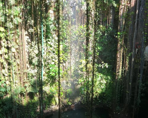 WhatsApp Image 2025-09-26 at 22.19.00 (2)