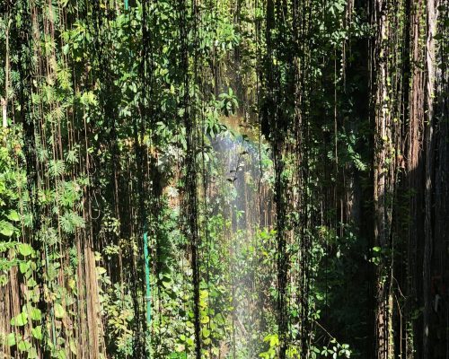 WhatsApp Image 2025-09-26 at 22.19.00