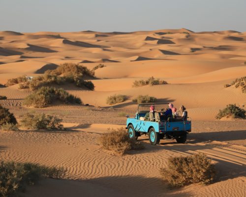 WhatsApp Image 2025-09-26 at 22.32.18 (2)