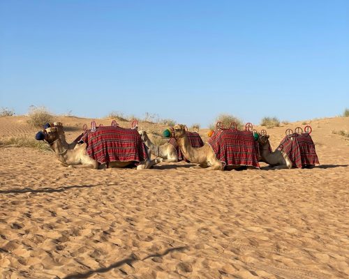 WhatsApp Image 2025-09-26 at 22.32.18