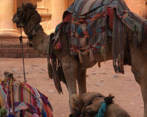 WhatsApp Image 2025-09-26 at 22.33.19 (1)