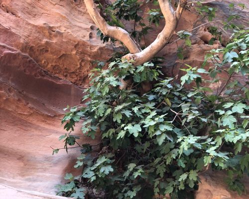 WhatsApp Image 2025-09-26 at 22.33.19 (3)