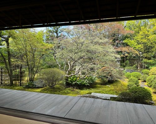 WhatsApp Image 2025-09-26 at 23.00.18 (1) (1)