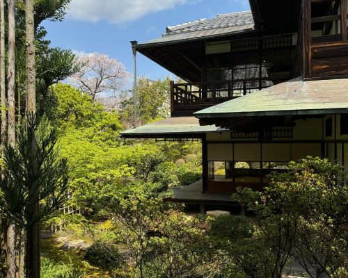 WhatsApp Image 2025-09-26 at 23.00.18 (2)