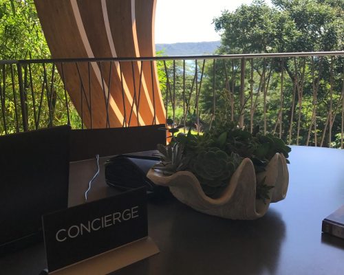 WhatsApp Image 2025-09-27 at 13.10.53 (2)