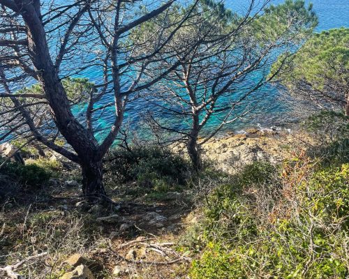 WhatsApp Image 2025-09-27 at 13.14.48 (6)