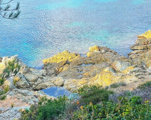 WhatsApp Image 2025-09-27 at 13.14.48