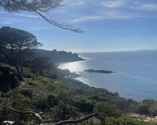 WhatsApp Image 2025-09-27 at 13.14.49 (1)