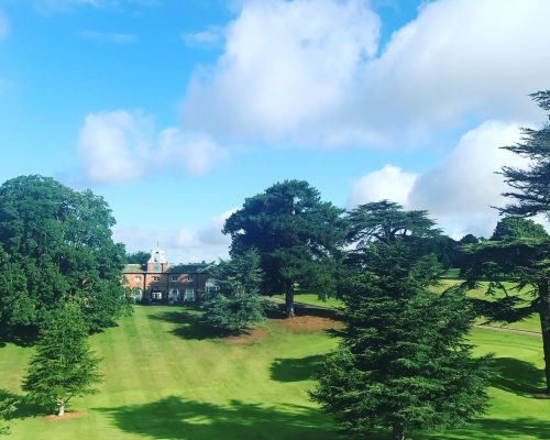 WhatsApp Image 2025-09-27 at 15.42.14 (1) (1)